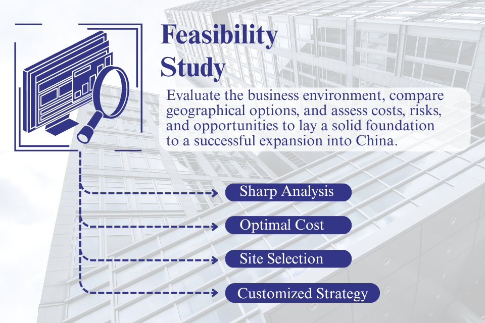 Feasibility Study
